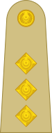 Rank Logo