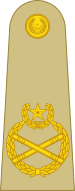 Rank Logo